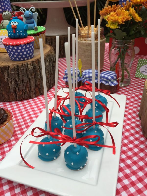 Picnic da Galinha Pintadinha