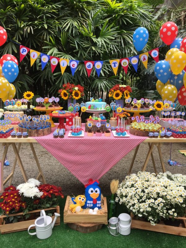 Picnic da Galinha Pintadinha