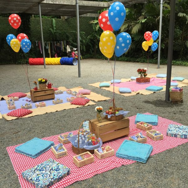 Picnic da Galinha Pintadinha