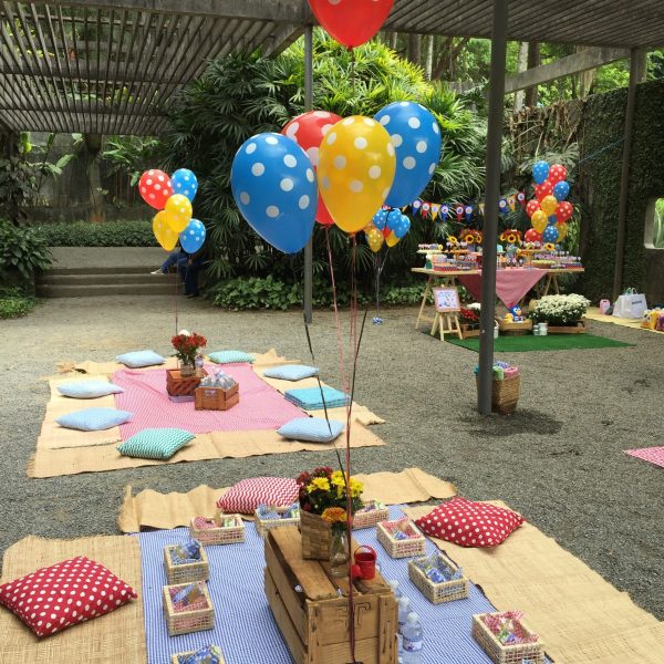Picnic da Galinha Pintadinha