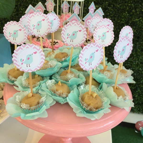 Festa Jardim da Ana Laura