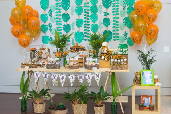 Festa Safari do Benjamin