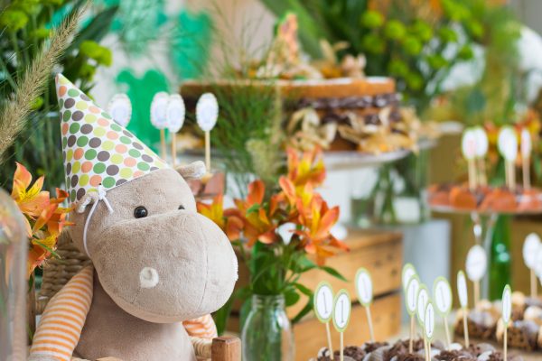 Festa Safari do Benjamin