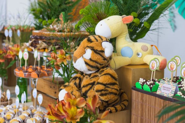 Festa Safari do Benjamin