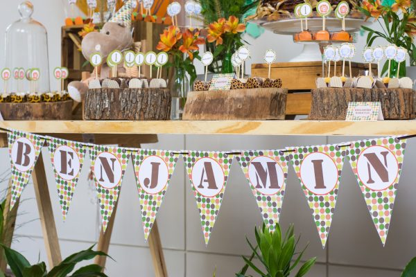 Festa Safari do Benjamin