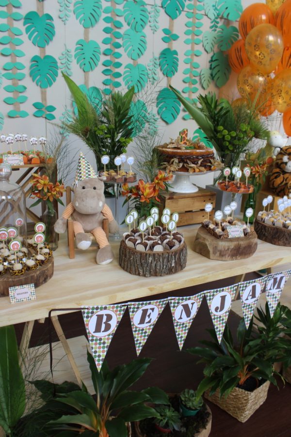 Festa Safari do Benjamin