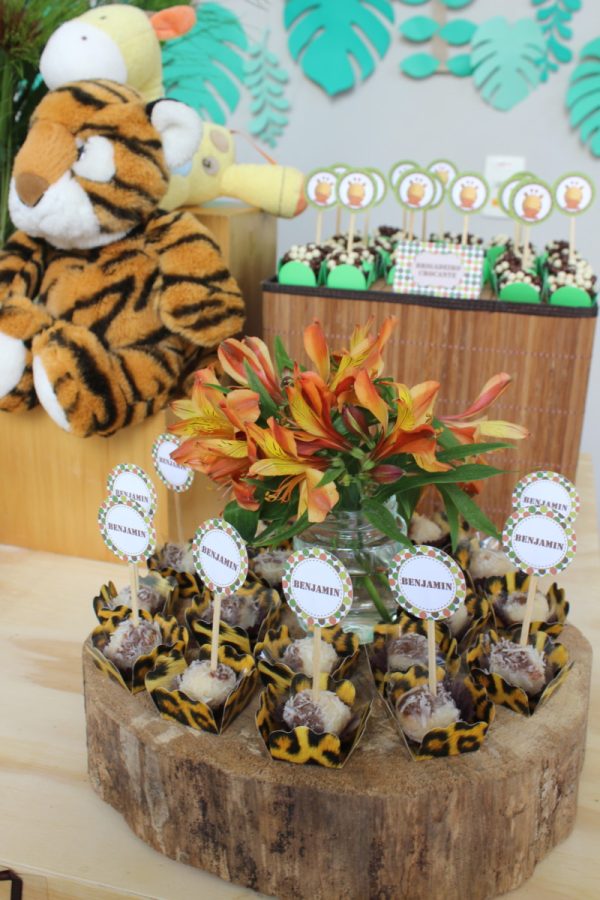 Festa Safari do Benjamin