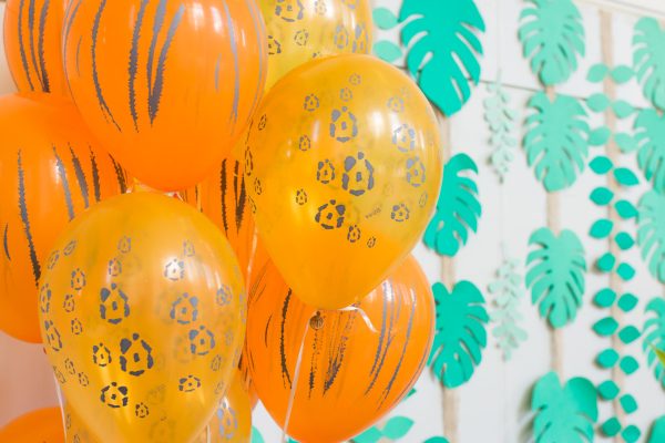 Festa Safari do Benjamin