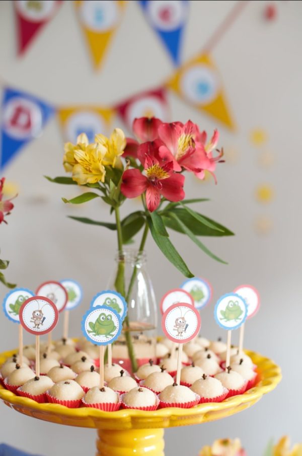 Festa Galinha Pintadinha