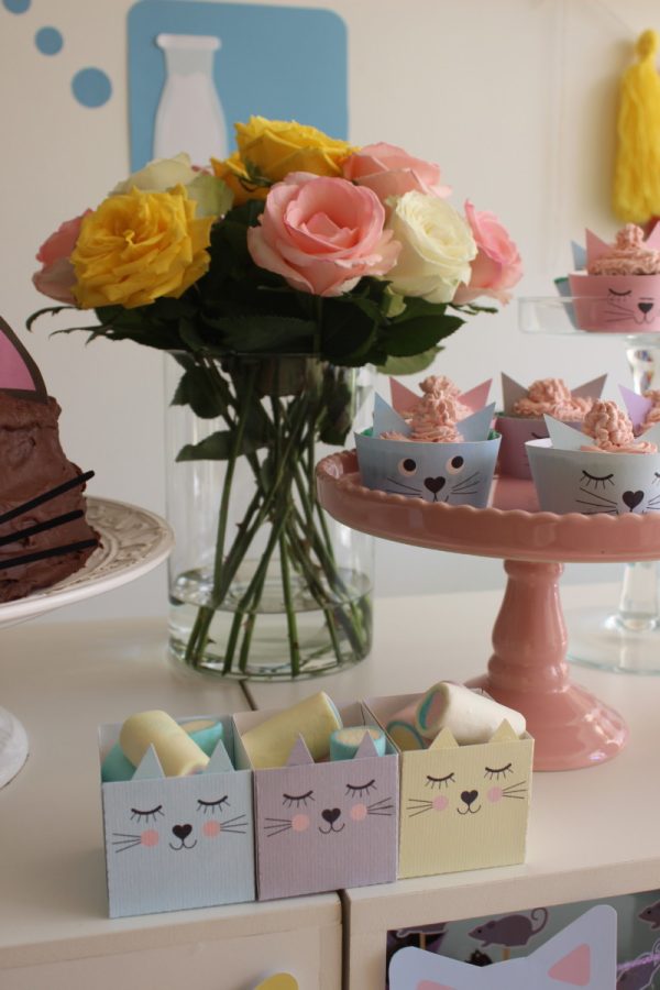 Festa Gatinho