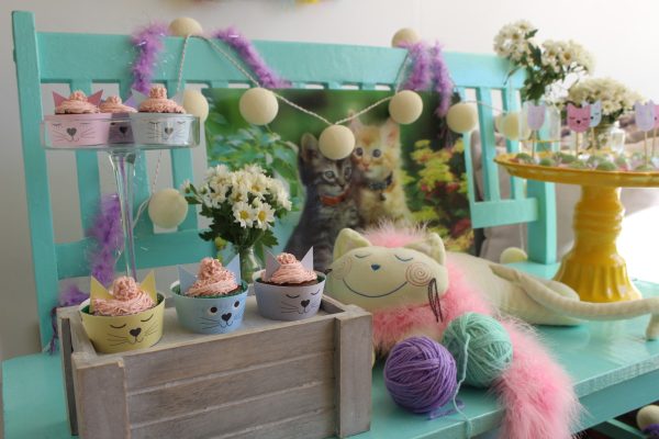 Festa Gatinho