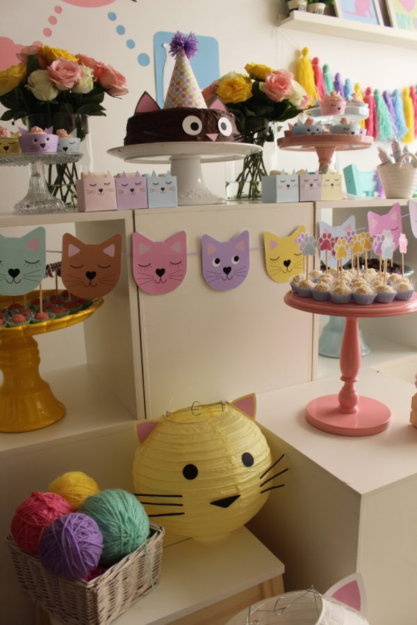Festa Gatinho