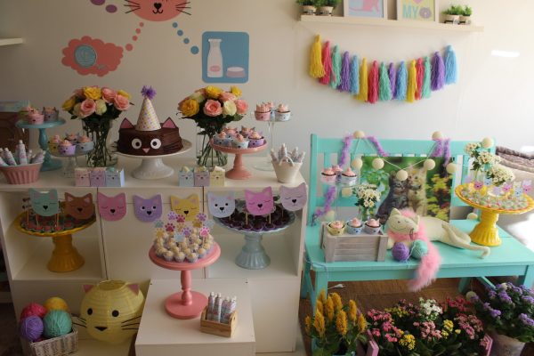 Festa Gatinho