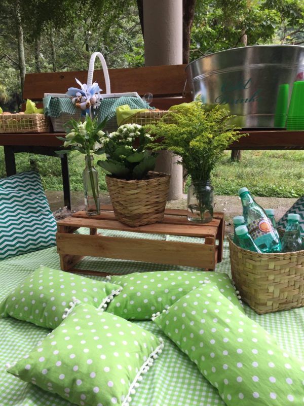 Picnic Bichinhos na Floresta