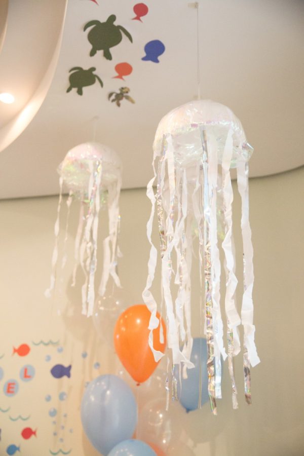 Festa Nemo