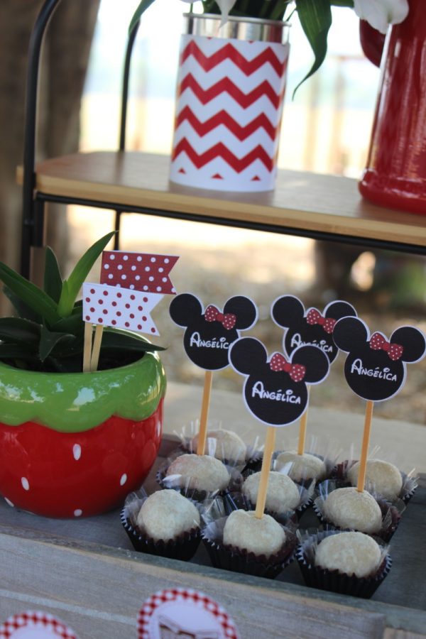 Picnic da Minnie