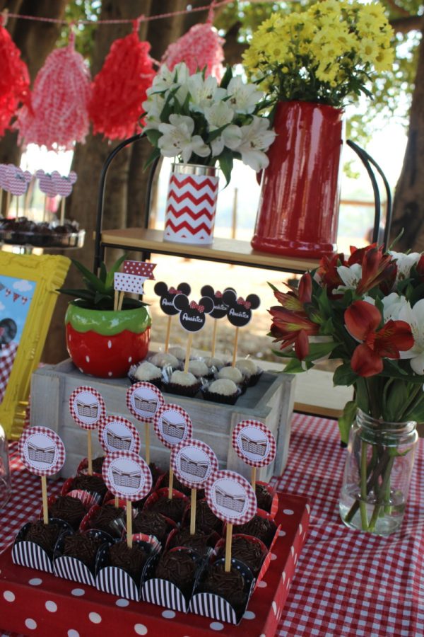 Picnic da Minnie
