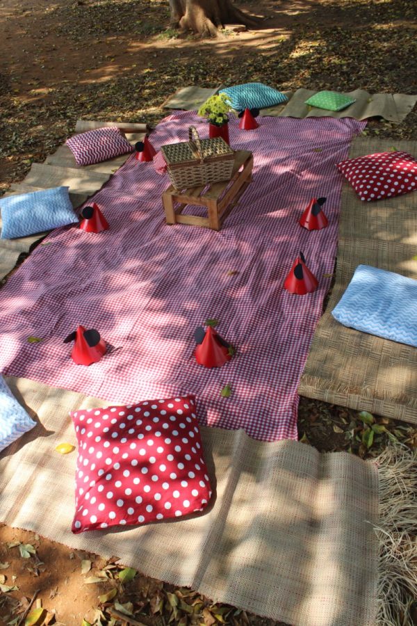 Picnic da Minnie