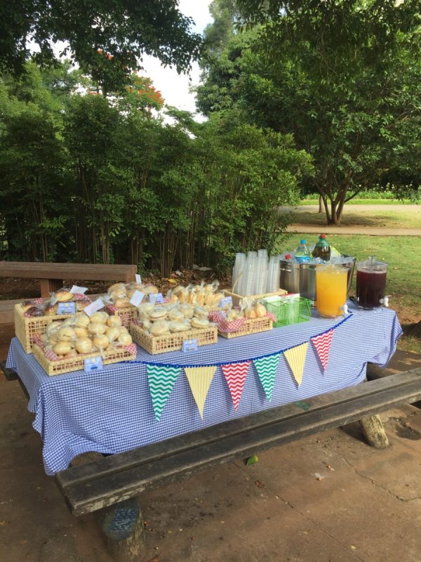 Picnic de Carrinho e Caminhão
