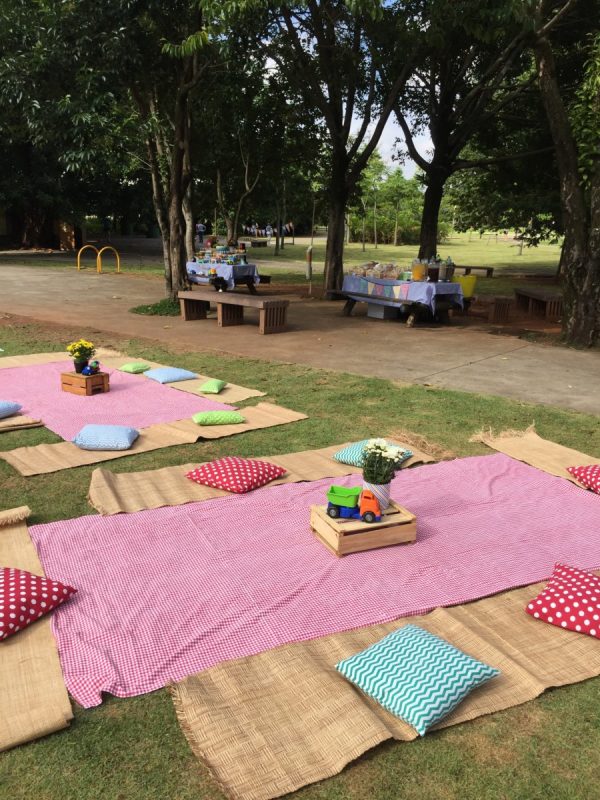 Picnic de Carrinho e Caminhão