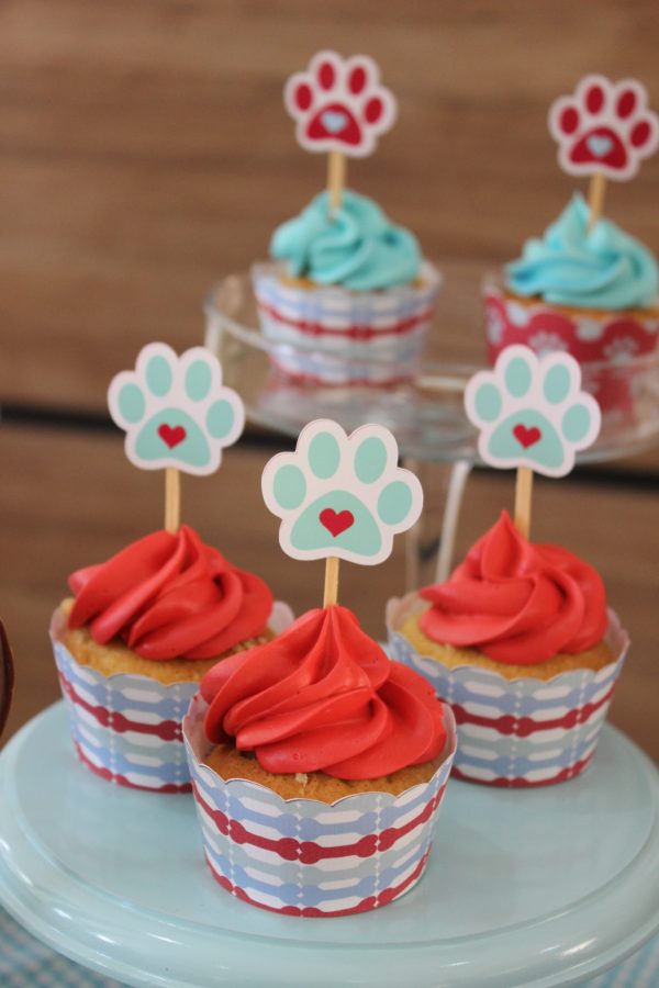 Festa Cachorrinhos