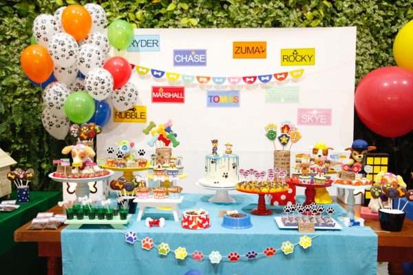 Festa Patrulha Canina