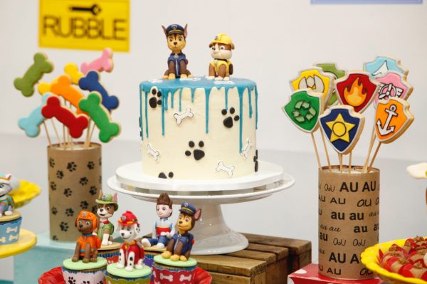 Festa Patrulha Canina