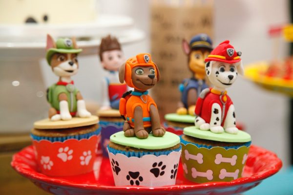 Festa Patrulha Canina