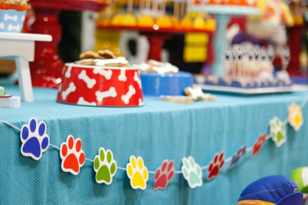 Festa Patrulha Canina