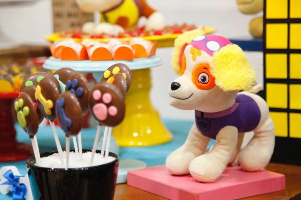 Festa Patrulha Canina