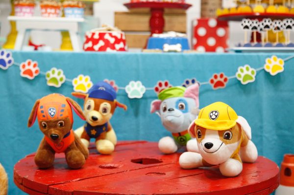 Festa Patrulha Canina