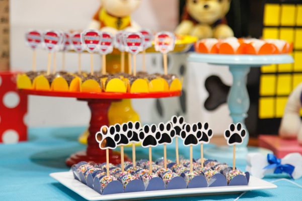 Festa Patrulha Canina
