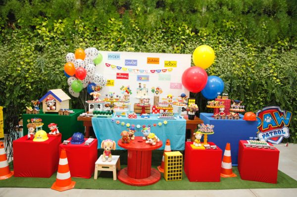 Festa Patrulha Canina