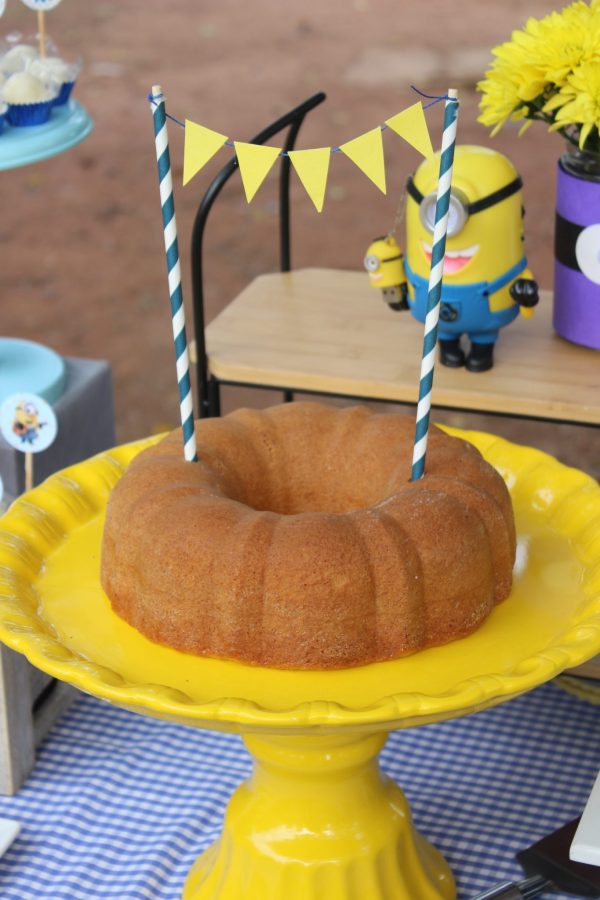 Picnic Minions