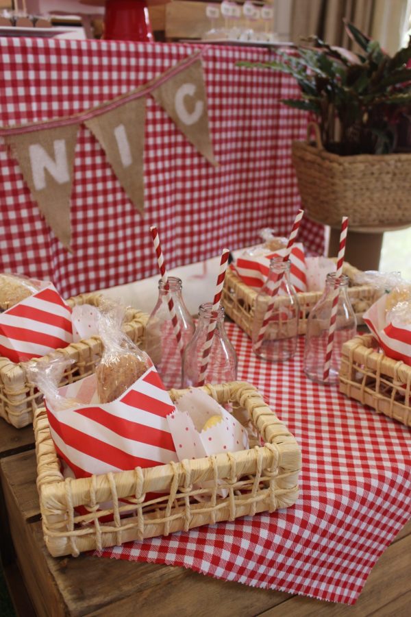 Picnic do Dudu