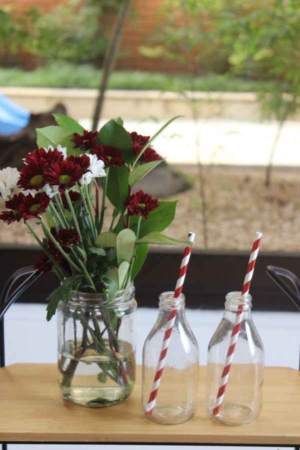 Picnic do Dudu