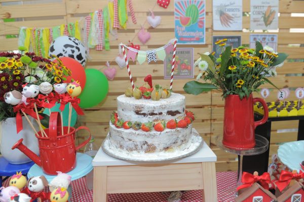 Festa Fazendinha da Maria Luisa