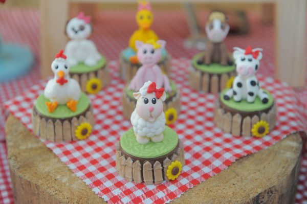 Festa Fazendinha da Maria Luisa