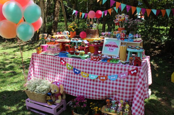 Picnic Patrulha Canina
