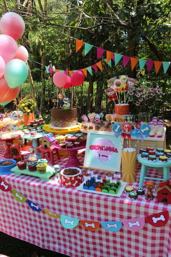 Picnic Patrulha Canina