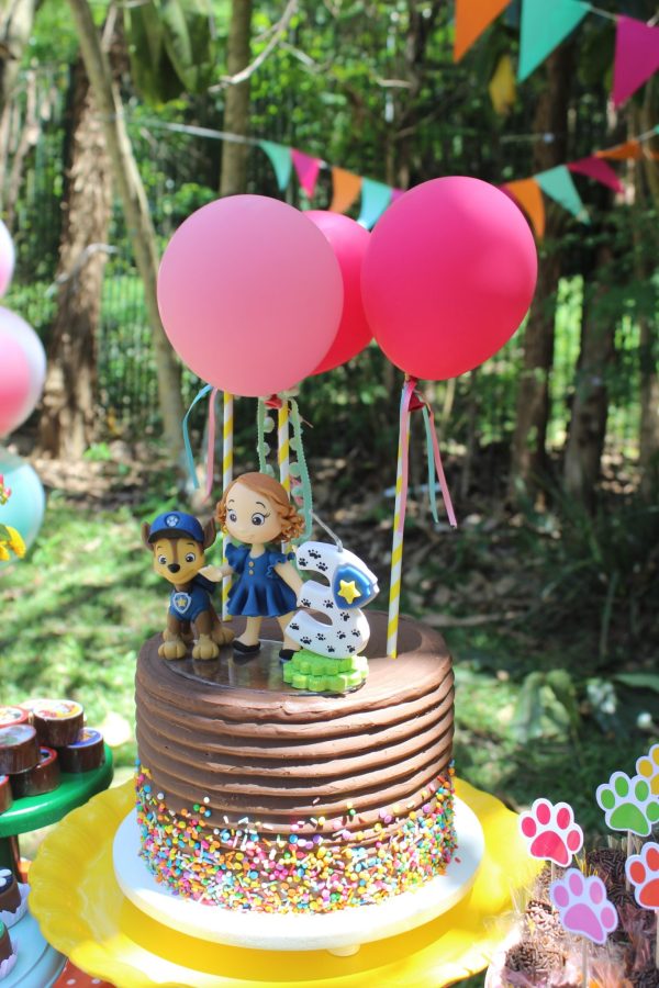 Picnic Patrulha Canina