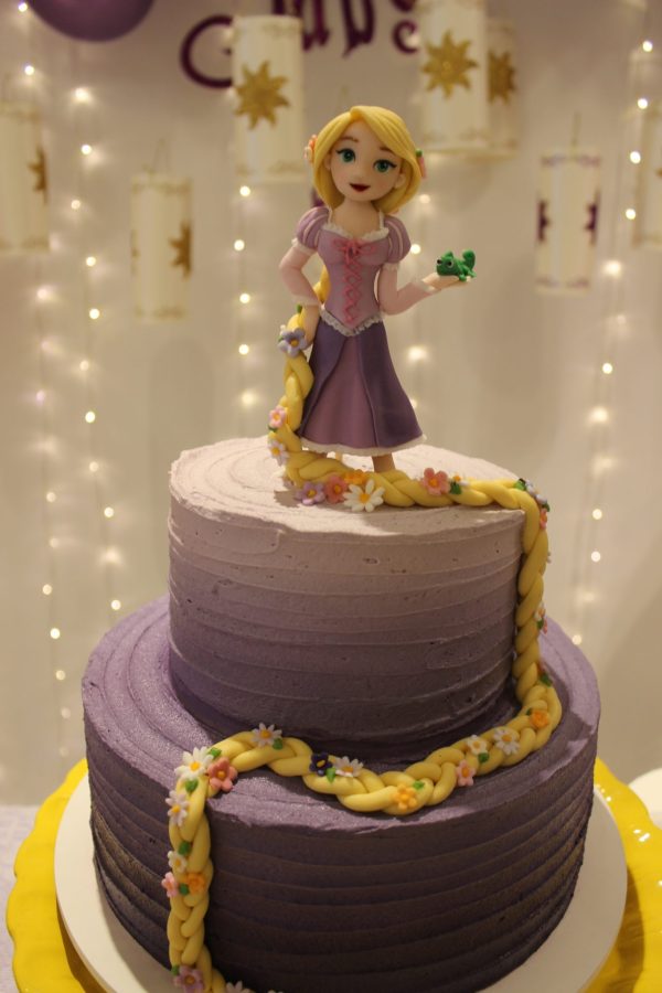 Festa Rapunzel Enrolados