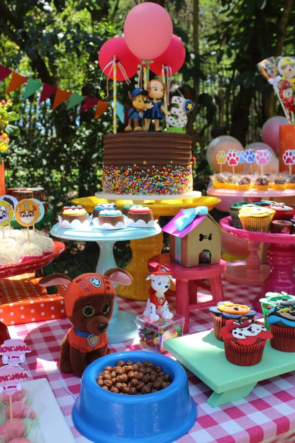 Picnic Patrulha Canina