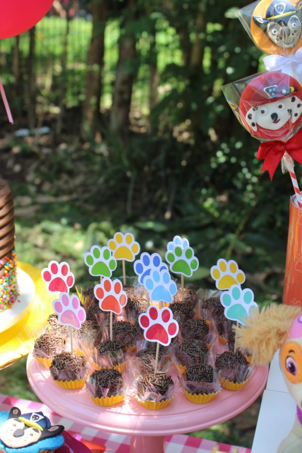 Picnic Patrulha Canina