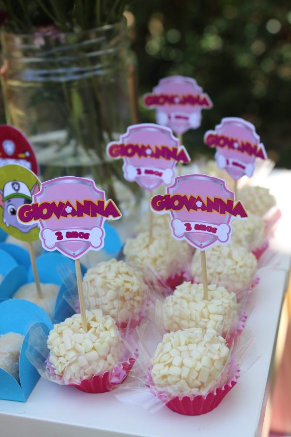 Picnic Patrulha Canina