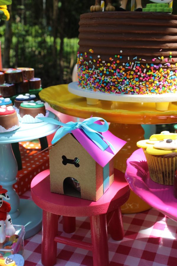 Picnic Patrulha Canina