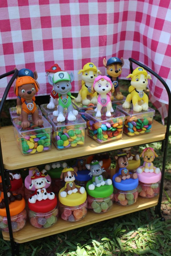 Picnic Patrulha Canina