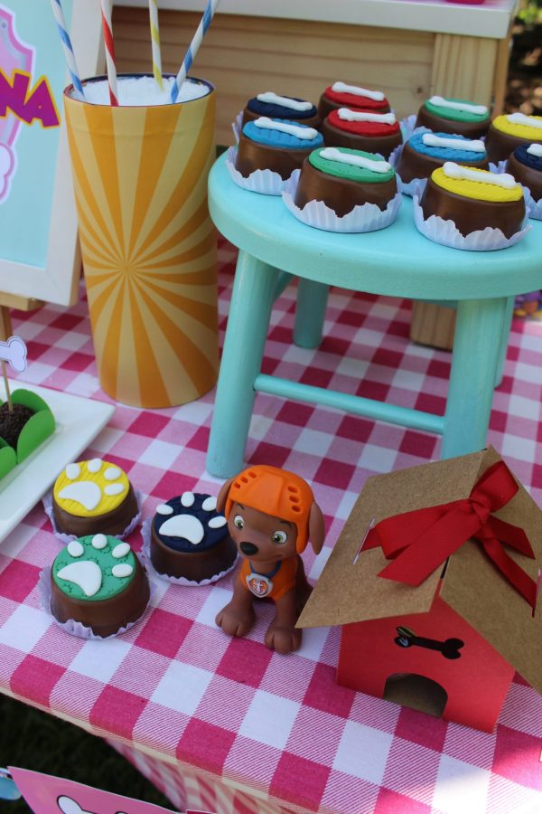 Picnic Patrulha Canina