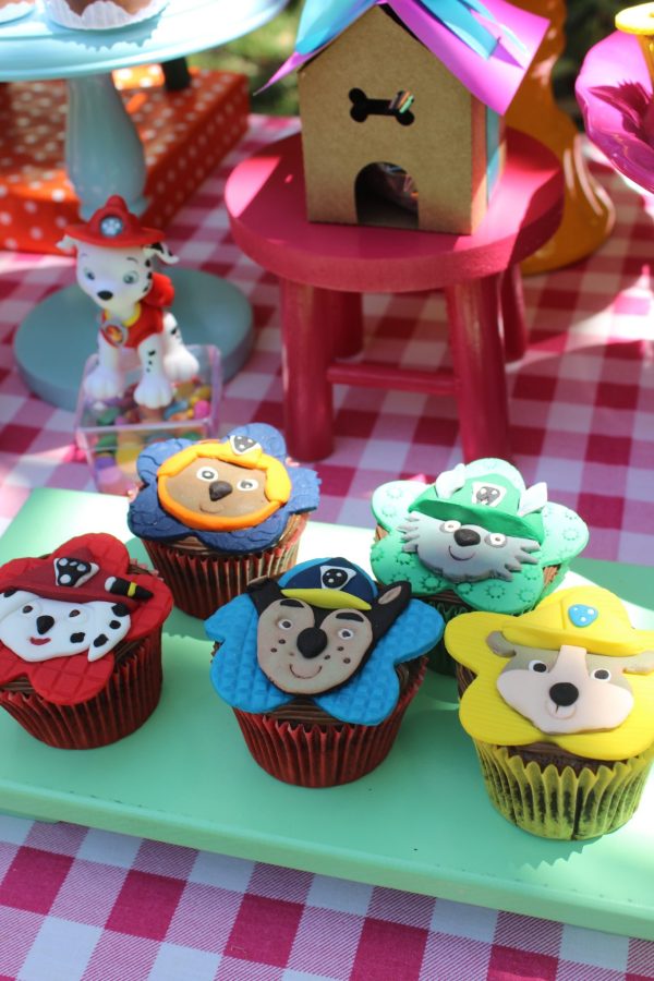 Picnic Patrulha Canina