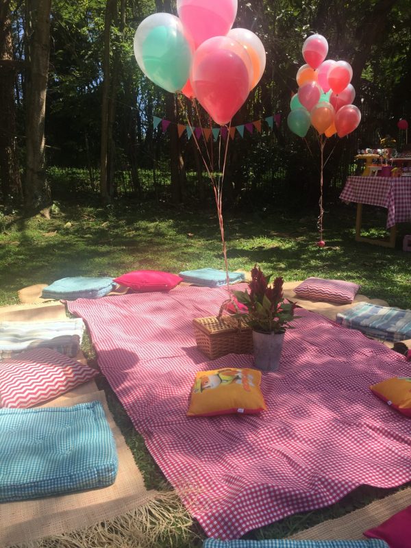 Picnic Patrulha Canina